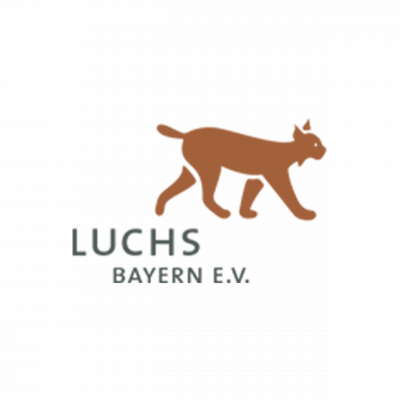 a logo of a cat