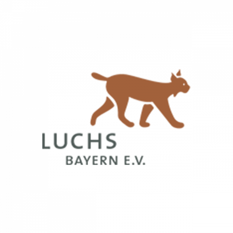a logo of a cat