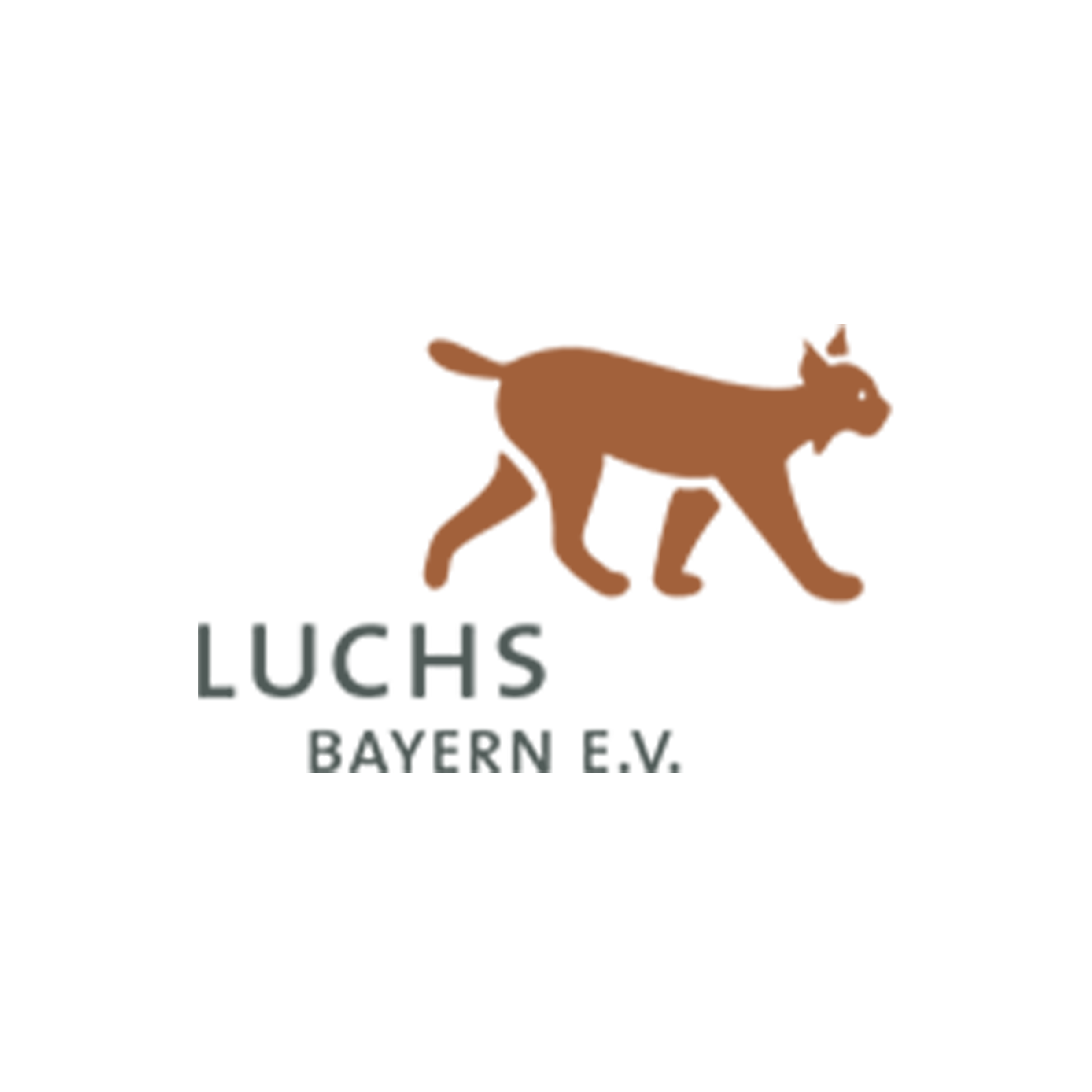 a logo of a cat