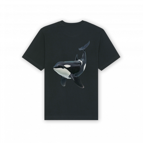 Orca Animal Oversized
