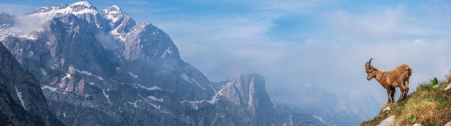 a mountain with snow on it